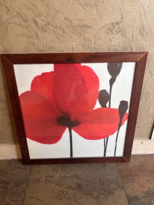 Cadre coquelicot